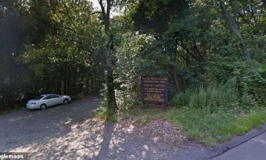 Arrestohen 6 të moshuar të cilët po kryenin marrëdhënie në pyll