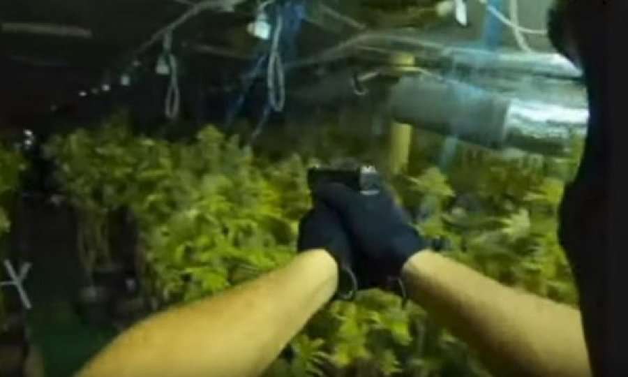 Shikojeni se si njësia speciale hyjnë në laboratorët e drogës në Bosnjë dhe Hercegovinë