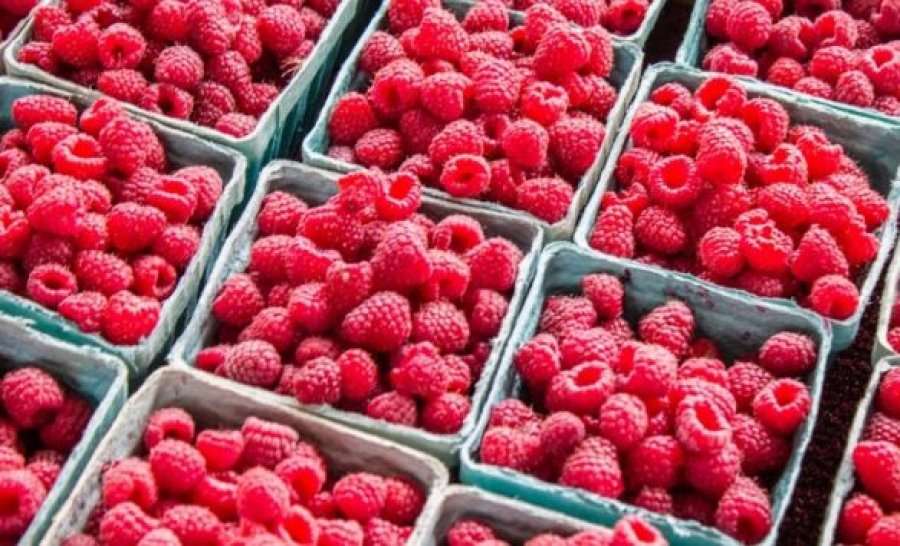 Fermerja e kthyer nga Kroacia që zhvilloi biznes me fruta të imëta