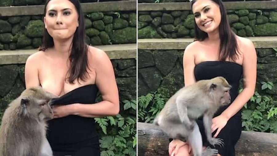 This video shows the hilarious moment pulls down a young woman's dress...