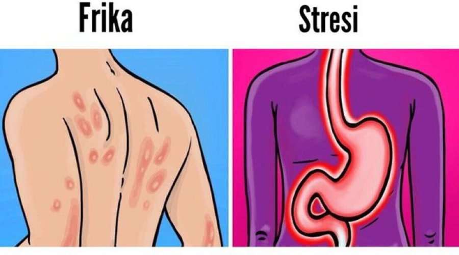 Emocionet negative e shkatërrojnë shëndetin tuaj, mësoni si ndikojnë ato në trup