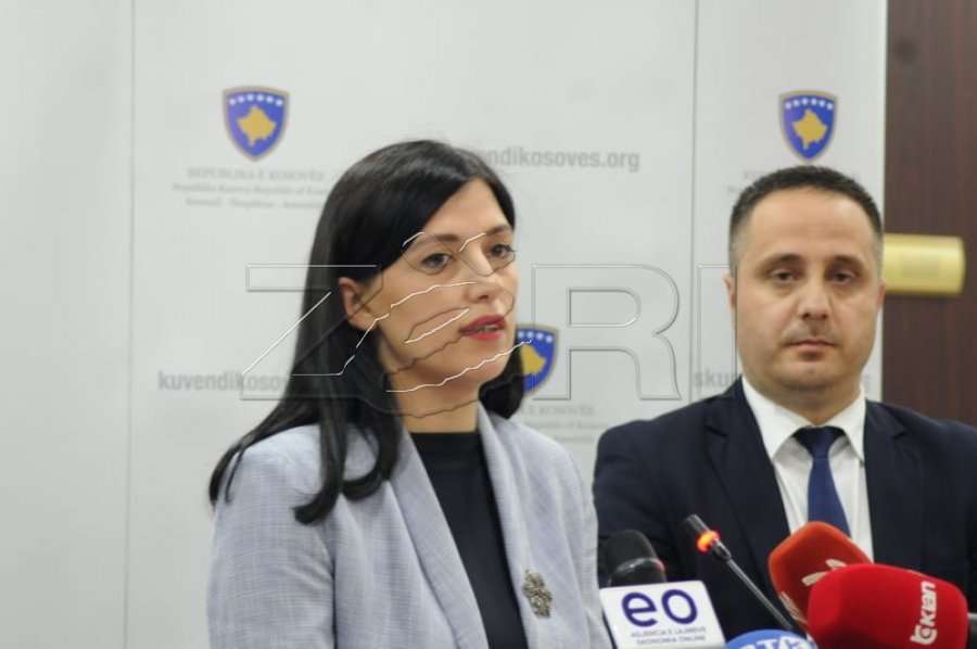 LDK dhe LVV 'ankohen' në Kushtetuese për ligjin e dialogut