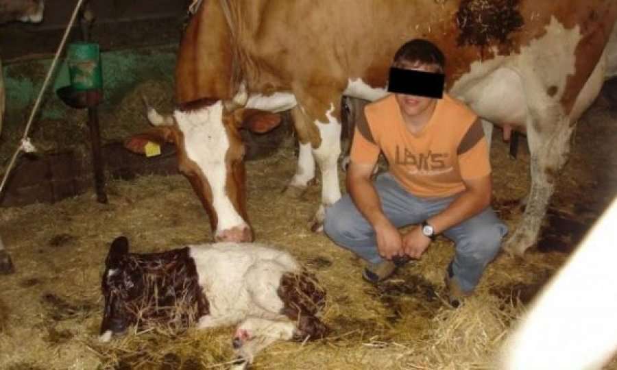 Po abuzonte seksualisht me kafshët, 30-vjeçari plagoset nga demi