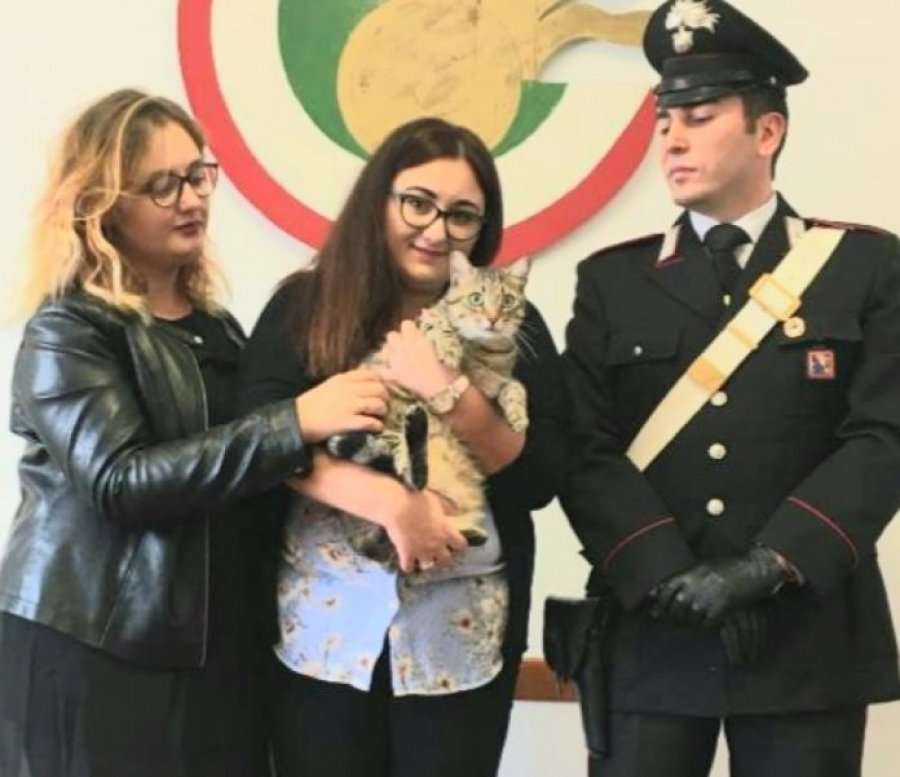 Shqiptarja në Itali gjen macen e rumunes, prangoset se i kërkoi para për t'ia kthyer
