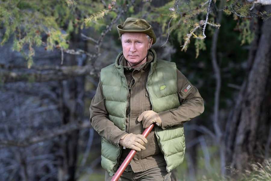 Në ditëlindjen e 67, Putin mbledh kërpudha në mal