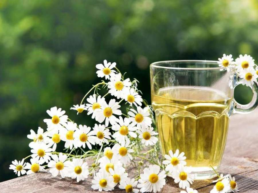 Pastrimi i gjakut përmes kamomilit dhe vajit të ullirit