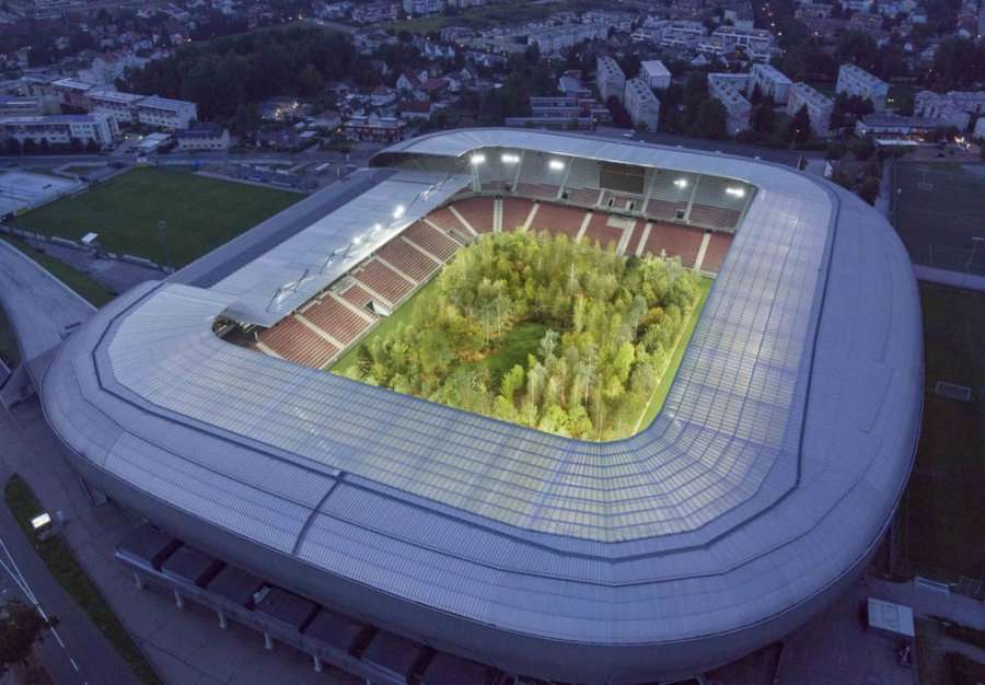 Pylli në mes të stadiumit