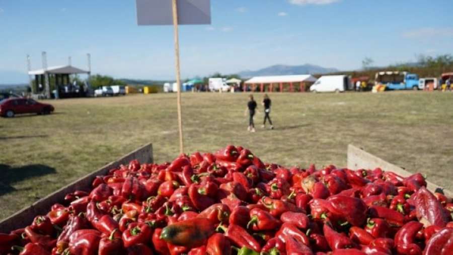 'Agrofesta', festivali që po paraqet punën e heroinave të Krushës