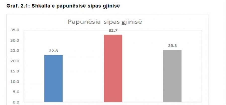 Premtimet për punësime, sërish pjesë e fushatës (VIDEO)