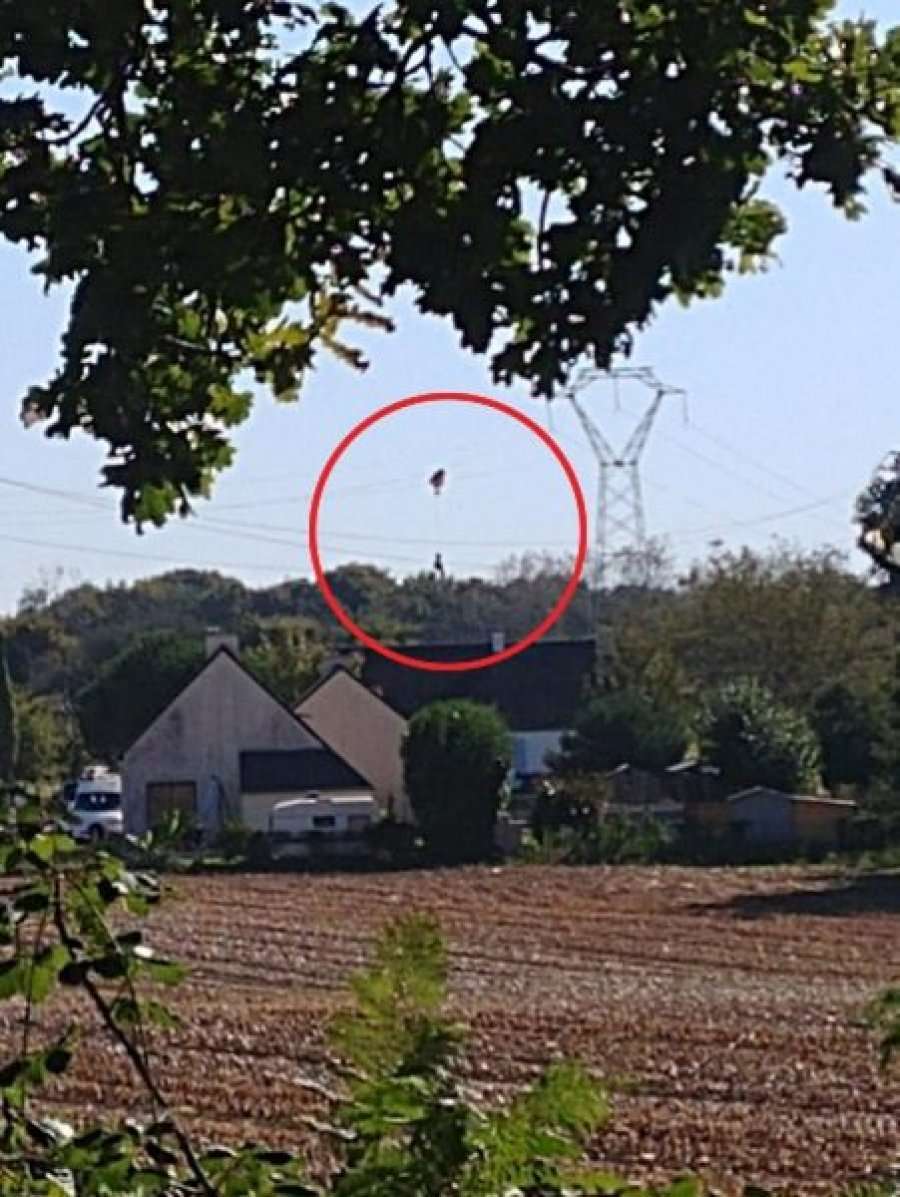 Dalin fotot e pilotit të varur në shtyllat e tensionit të lartë pasi u rrëzua aeroplani