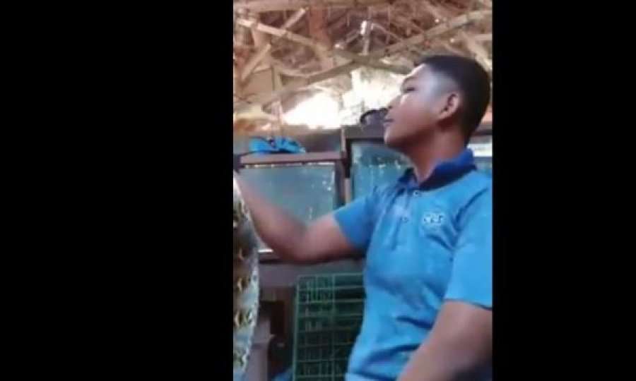 Deshi të dhurojë 'spektakël' para masës, gjarpri e kafshon në kokë