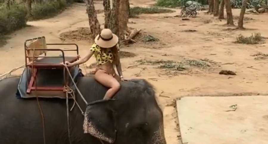 Morena Taraku kujton pushimet në Tajlandë, publikon vidoen e hipur mbi elefant