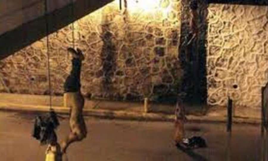Ranë nga ura, dy aktorë vdesin teksa po xhironin filmin