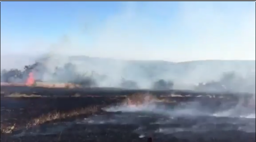 Digjen arat me grurë në Rezallë të Skenderajt (Video)