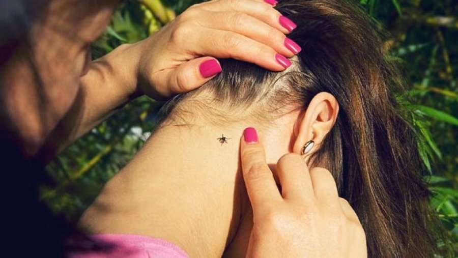 Si hiqet rriqra: Bëhuni të kujdesshëm dhe të vëmendshëm në mënyrë që të pengoni përhapjen e infeksionit të rrezikshëm