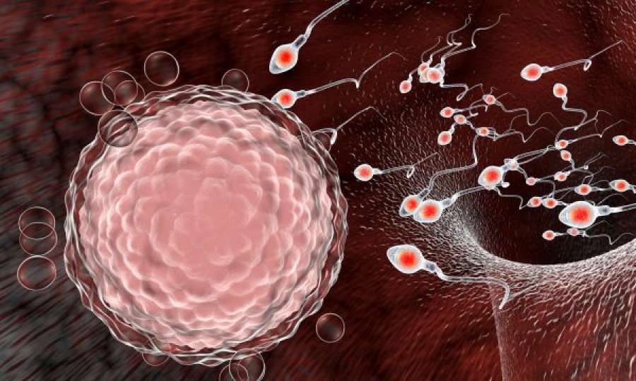 Ekspertët italianë: Koronavirusi pengon prodhimin e spermës dhe testosteronit