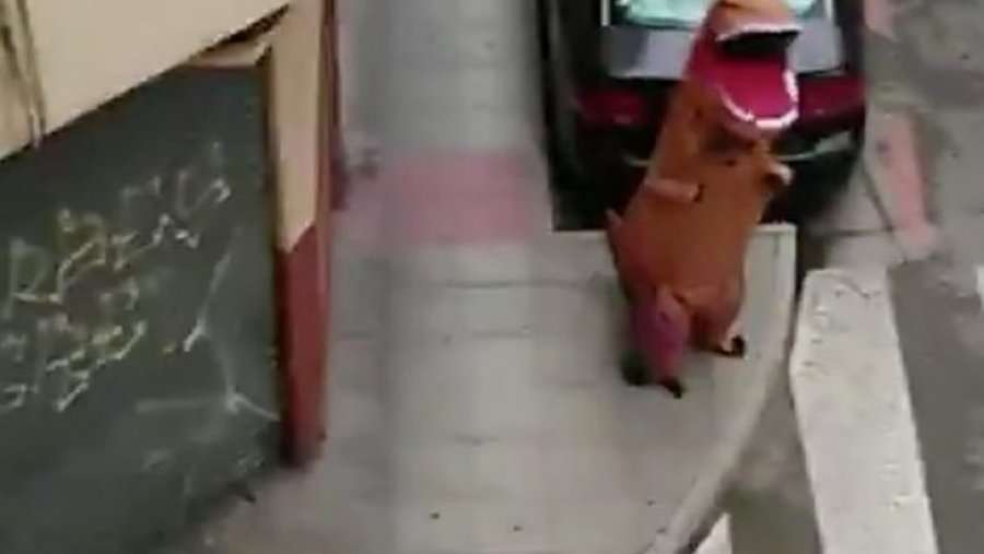 Pacienti me koronavirus arratiset nga karantina i veshur si dinozaur