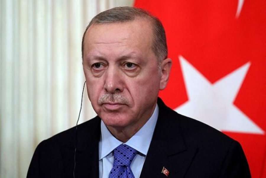 Erdogan: Zjarret pyjore, kërcënim global sikurse COVID-19