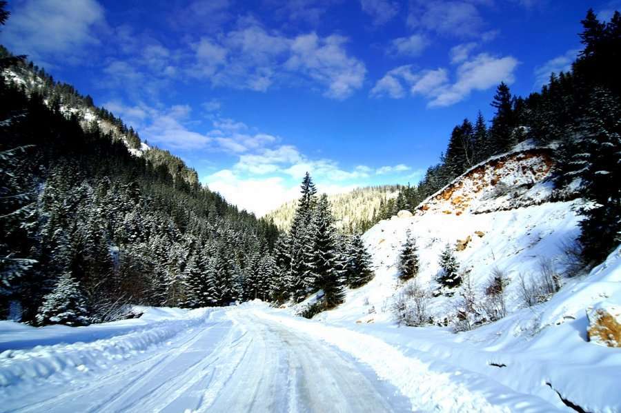 Një familje në Rugovë e izoluar nga bora, kërkon ndihmë nga Komuna e Pejës