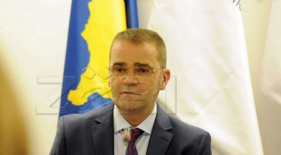 Mehmeti: Remitencat kanë shënuar rritje, diaspora shtyllë për ekonominë