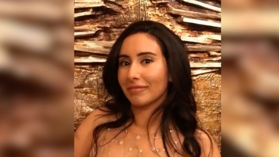 Pegasus: Numrat e princeshave të Dubait gjinden në mes të 50 mijë të tjerëve