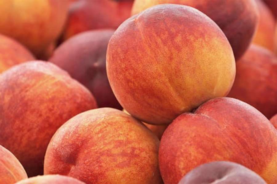 Përmirësoni shëndetin tuaj me pesë racione frutash dhe perimesh