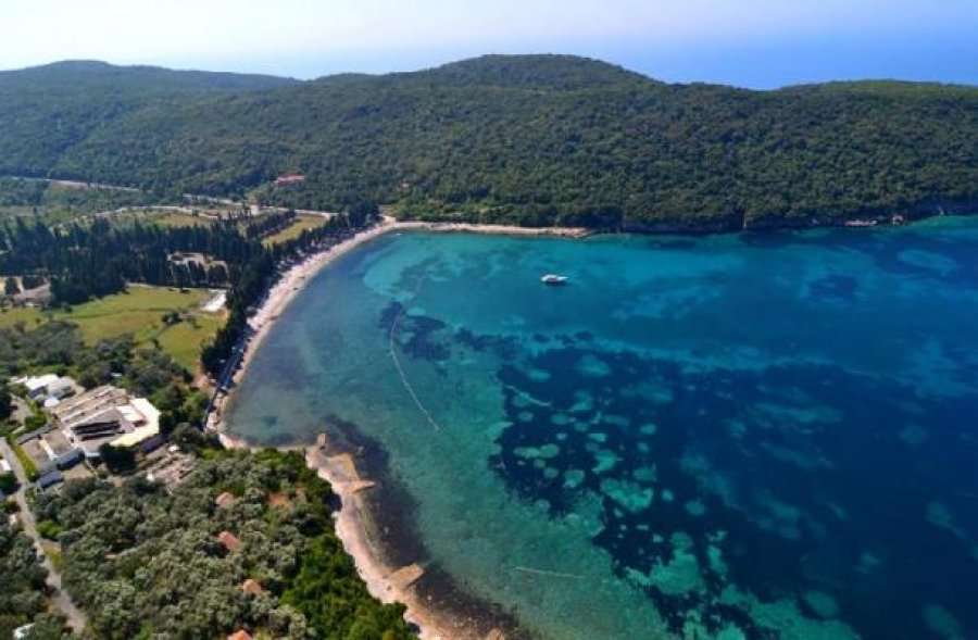 Lista Shqiptare uron shqiptarët e Malit të Zi për kthimin e ullishtës së Valdanosit