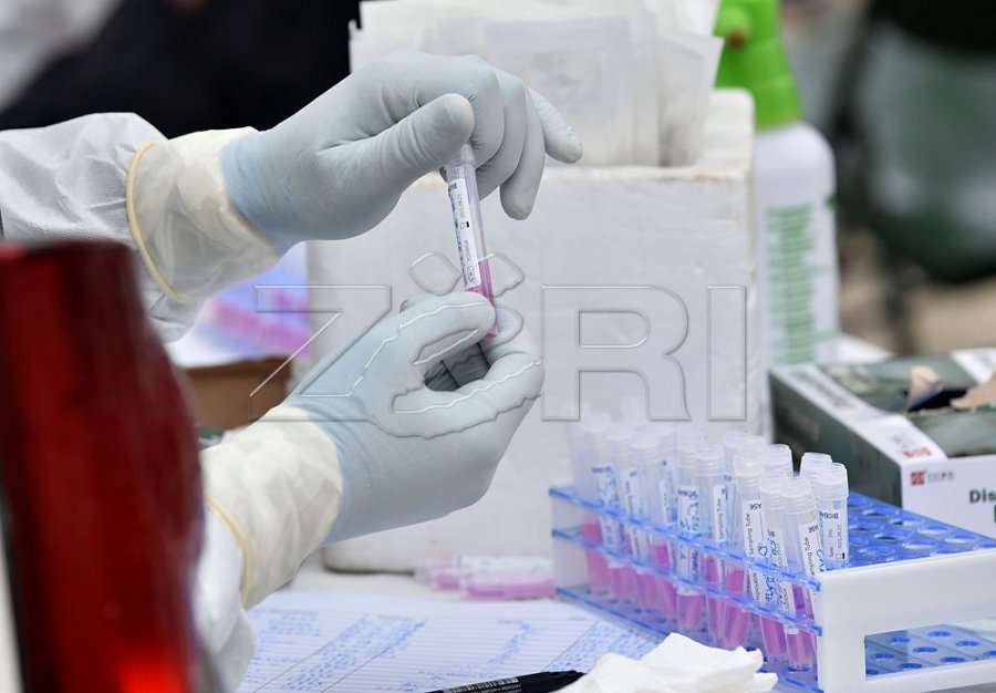 Arrestohen tre persona në Gjakovë, lëshonin teste COVID të falsifikuara