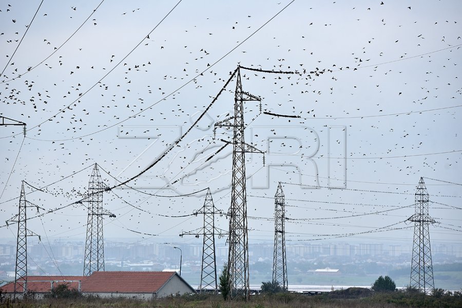 Murati thotë se Kosovës i janë aprovuar grante mbi 55 milionë euro për dy projekte energjetike