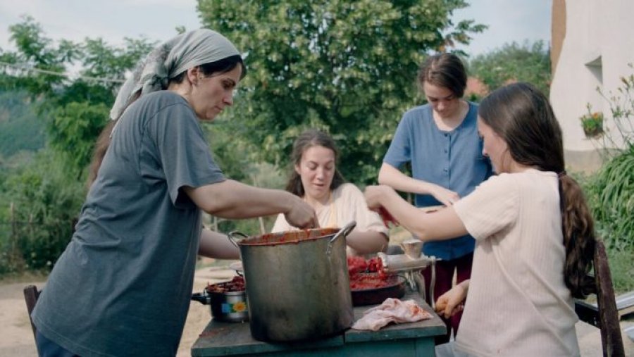 “Zgjoi”, ndër filmat më të mirë të vitit 2021 sipas “Tomatometer”-it