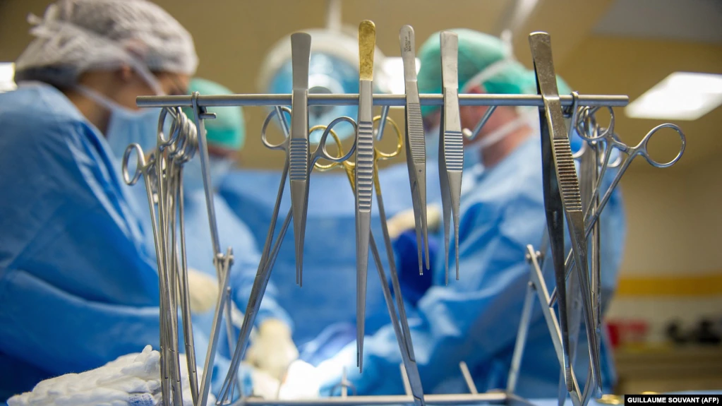 SHBA: Zemra e një derri transplantohet me sukses te një njeri