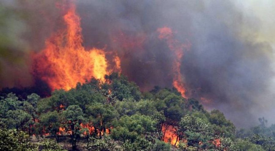 Rëndohet situata në Shqipëri, 34 vatra zjarri për 24 orë