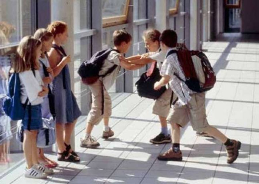 Nxënësi zviceran flet shqip me shokët: Shkolla ndalon gjuhët e huaja edhe në oborr