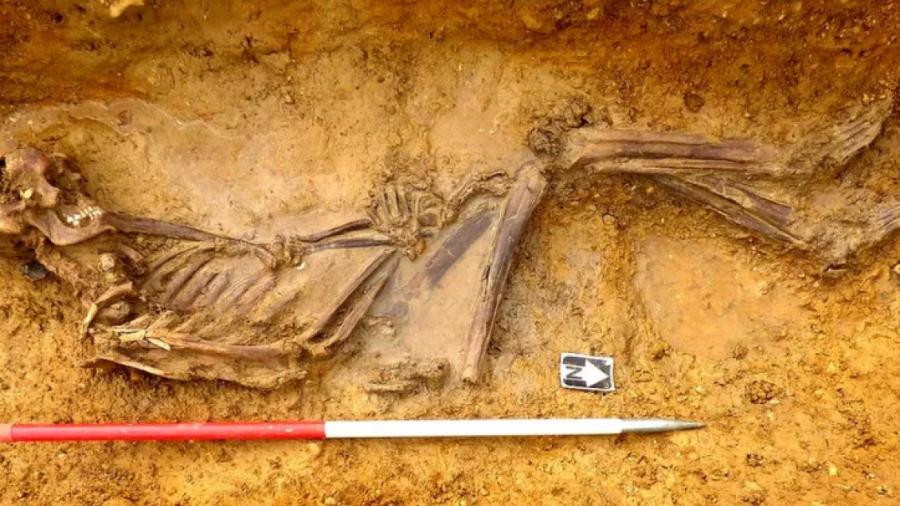 Ekspertët e ADN-së zgjidhin misterin e kufomës 2000-vjeçare
