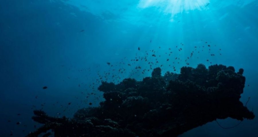 Marrëveshje historike midis 190 vendeve për të mbrojtur biodiversitetin në natyrë