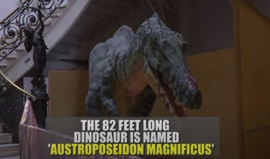 Brazil, identifikohet specie e re e dinozaurëve