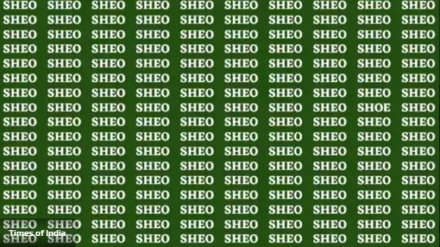 A mund ta gjeni fjalën “Shoe” në fotografinë e publikuar?