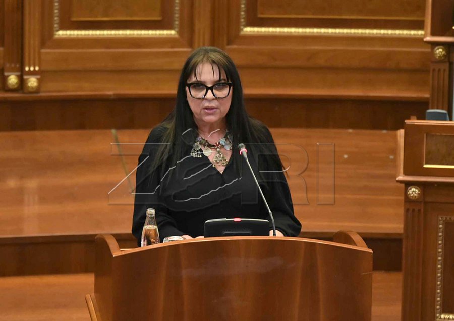 LDK-ja kërkon formimin e komisionit hetimor për subvencionimin e librave