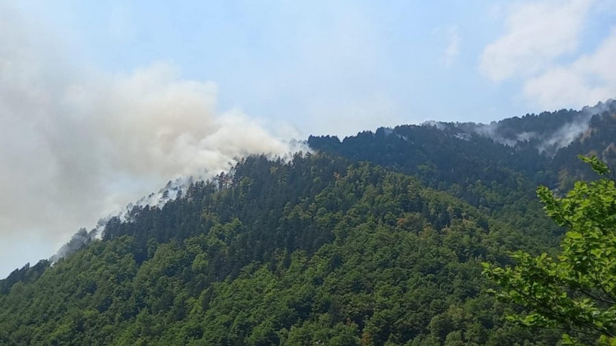 Në Parkun Kombëtar “Sharri” janë shuar 70% të zjarreve, vatra aktive ka në territorin e Shtërpcës
