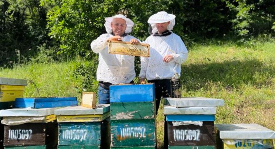 Ministria e Bujqësisë ndan 8.5 milionë euro për sektorin e bletarisë