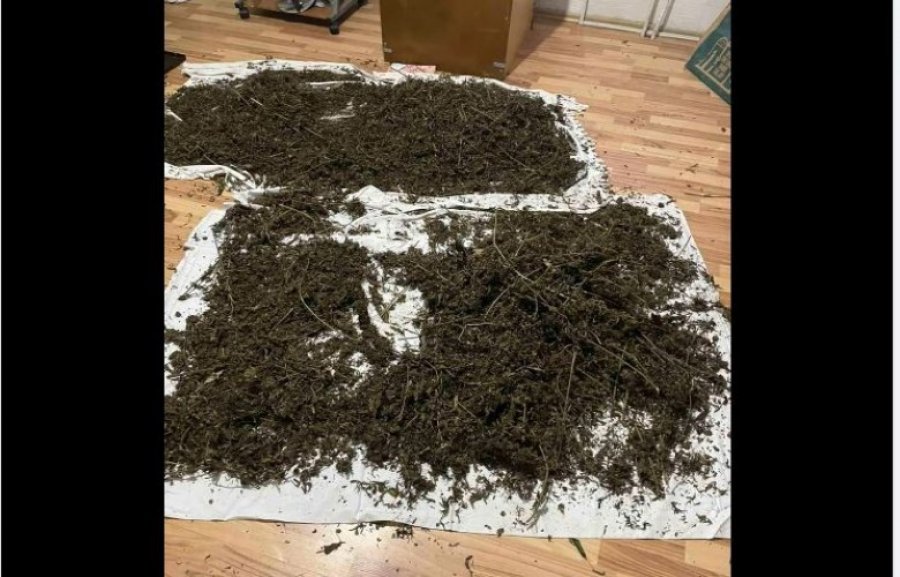 Policia sekuestron rreth 100 kilogramë drogë, arrestohen dy të dyshuar në Pejë