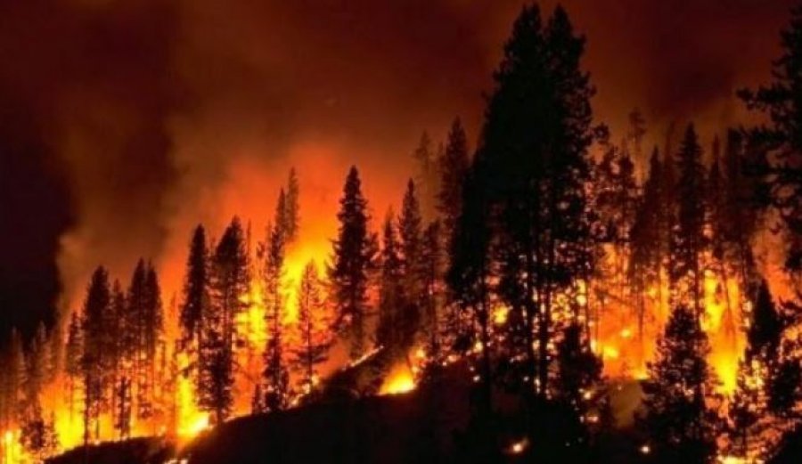 Zjarr i madh te “Parku i Pishave” në Sllatinë