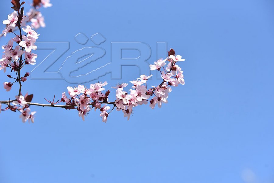 Mot me diell dhe vranësira