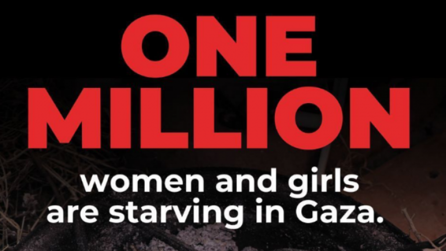 OKB-ja thotë se një milion gra dhe vajza vuajnë nga uria në Gaza