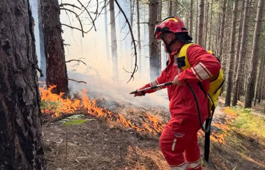 Tetë vatra zjarri në Shqipëri, shtatë mbeten aktive