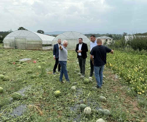 Komunarët në Ferizaj dalin në terren për t’i parë nga afër dëmet që pësuan fermerët nga breshri