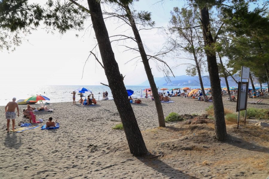 Rama: Plazhi i Kunës në Lezhë, mes gjelbërimit dhe freskisë së Adriatikut