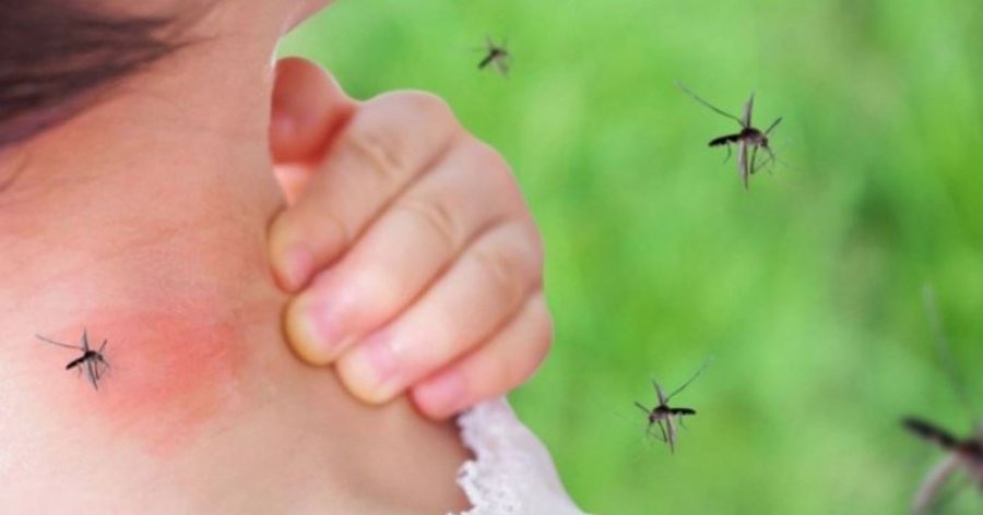 Virusi i Nilit, dhjetë viktima vetëm në Itali
