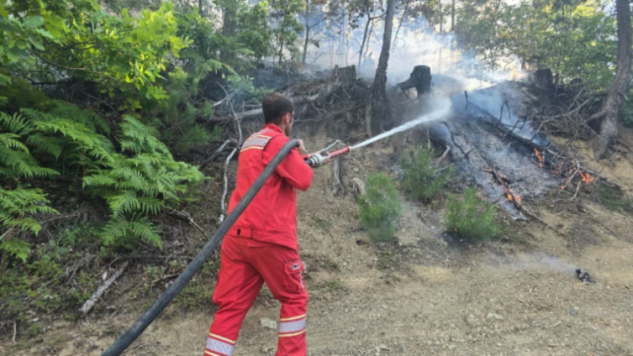 Shqipëria nën flakë, 50 vatra zjarri gjatë 24 orëve