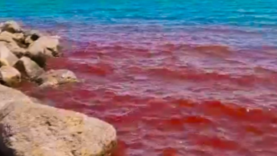 Deti i Galilesë “bëhet i kuq si gjaku”, sqarohet arsyeja pas fenomenit të rrallë në Izrael